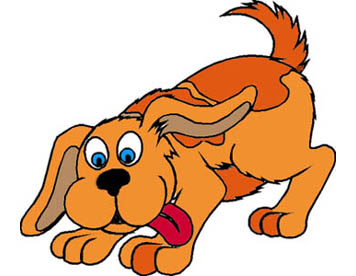 Assicurazione per il cane