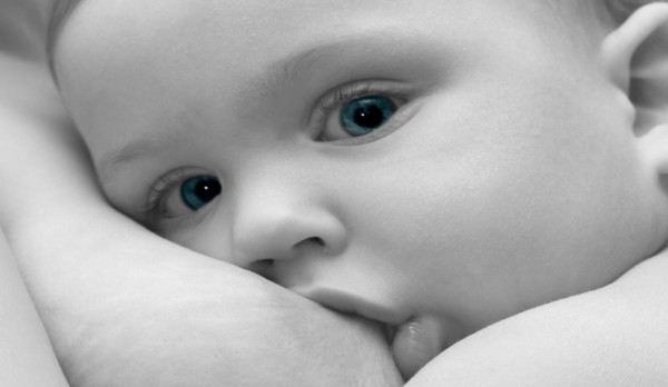 l'allattamento materno