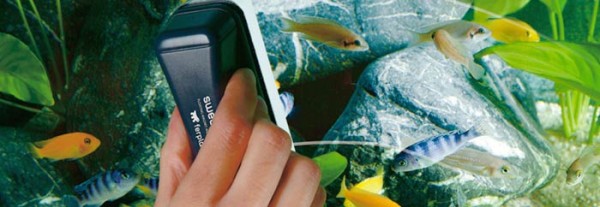 la manutenzione dell'acquario