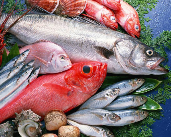 Il pesce fresco esiste davvero?