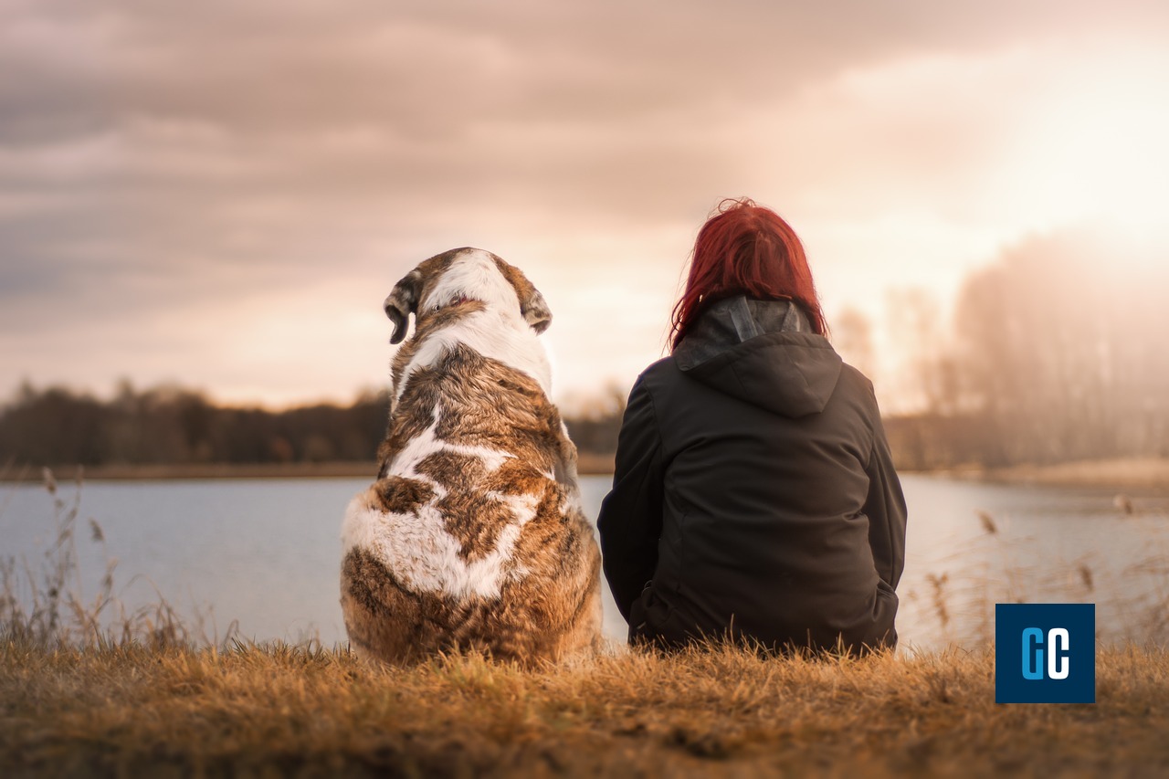 Il cane nella storia dell'uomo