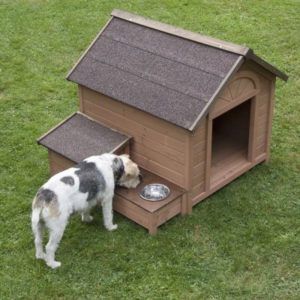 1_ Sylvan Comfort (1)