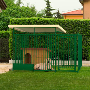 2_Recinto per cani (1)