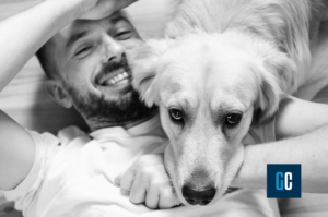 DIFFERENZE TRA LABRADOR E GOLDEN RETRIEVER