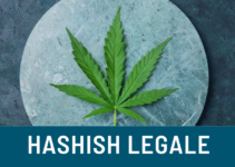 Hashish legale: cosa sapere